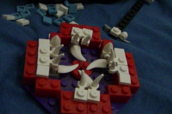 Kraken 24 at