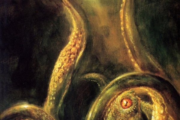 Кракен официальная ссылка kraken torion