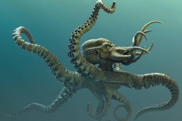 Kraken 13 at