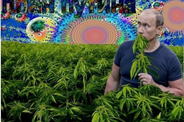 Кракен переход