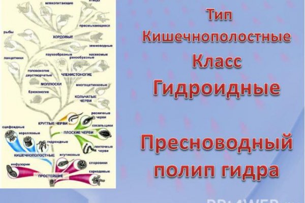 Кракен даркнет площадка ссылка