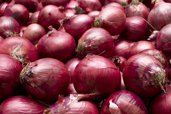 Кракен зеркало рабочее onion
